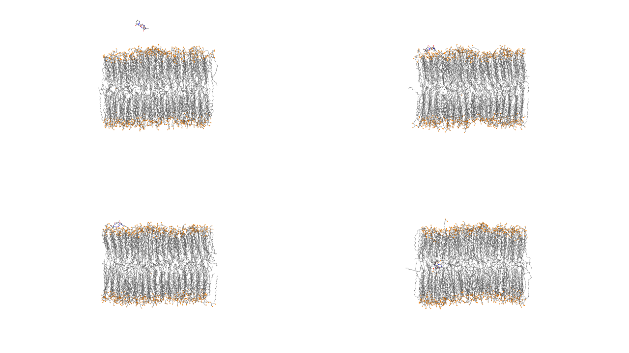 Cyclic-peptide-X 从水相、膜表面到膜内的 VMD 关键帧