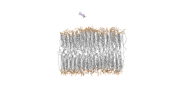 Cyclic-peptide-X 膜内位置依赖扩散系数研究