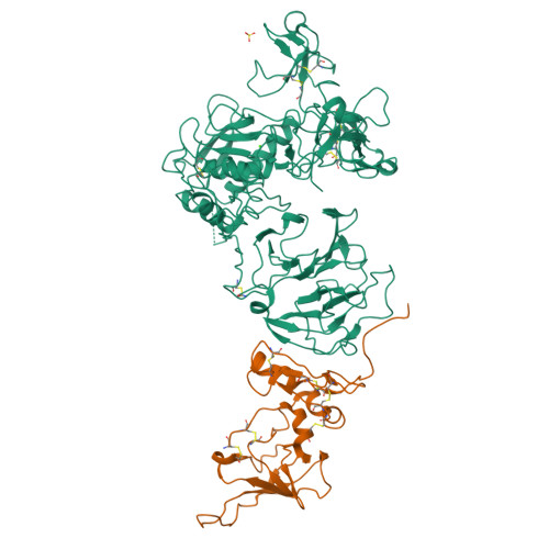 PDB 1GXD proMMP-2 与 TIMP-2 复合物结构